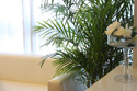 Recepci&oacute;n